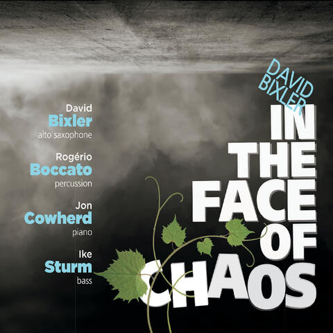 In the Face of Chaos (feat. Rogério Boccato, Jon Cowherd, & Ike Sturm)