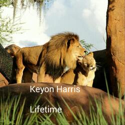 Lifetime