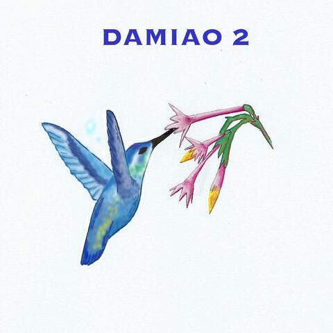 Damiao 2