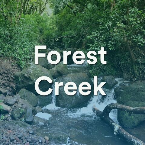 Forest Creek