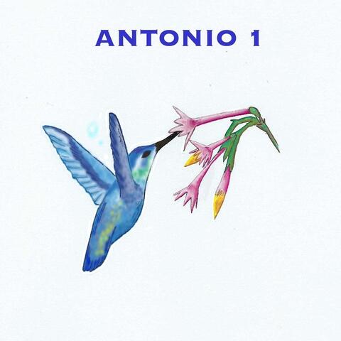 Antonio 1