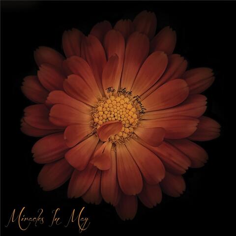 Miracles in May