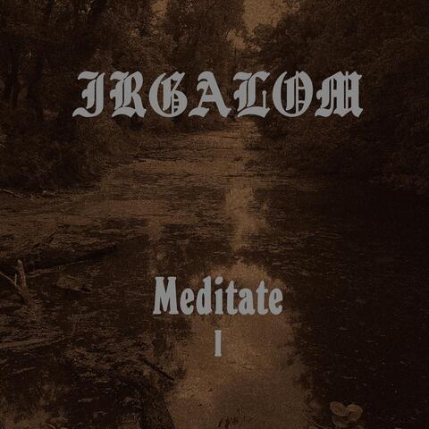 Meditate, Vol. 1