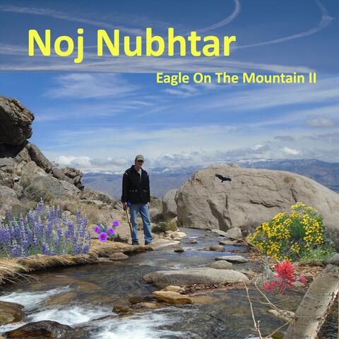 Eagle on the Mountain II
