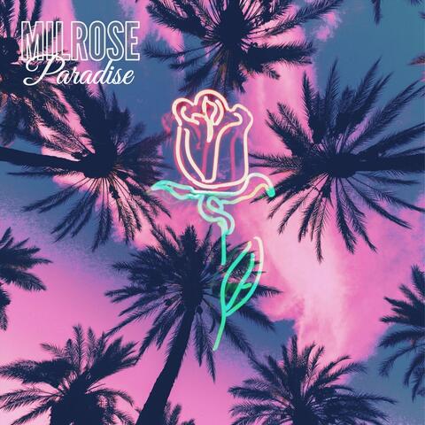 Paradise