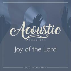 Joy of the Lord (Acoustic) [feat. Honi Deaton]
