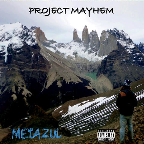 Project Mayhem