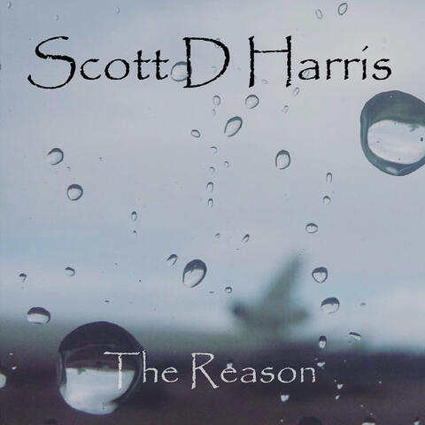 The Reason
