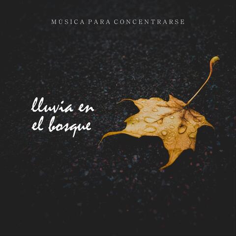 Música para Concentrarse: Lluvia en el Bosque