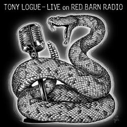 Darkness on the Edge of Town (Live)