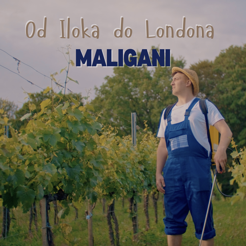 Od Iloka Do Londona