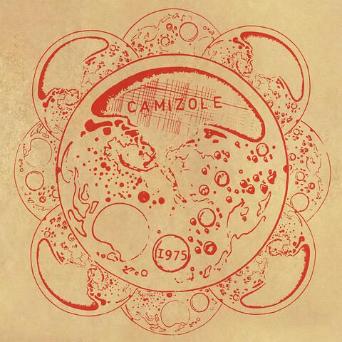 CAMIZOLE