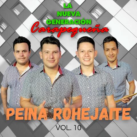 Peina Rohejaite, Vol. 10