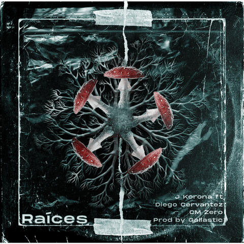Raíces