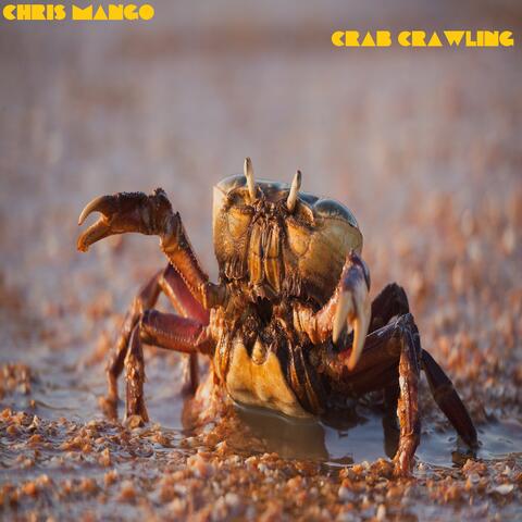 CRAB CRAWLING