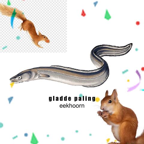 eekhoorn