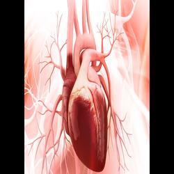 Merci de m'avoir choisi