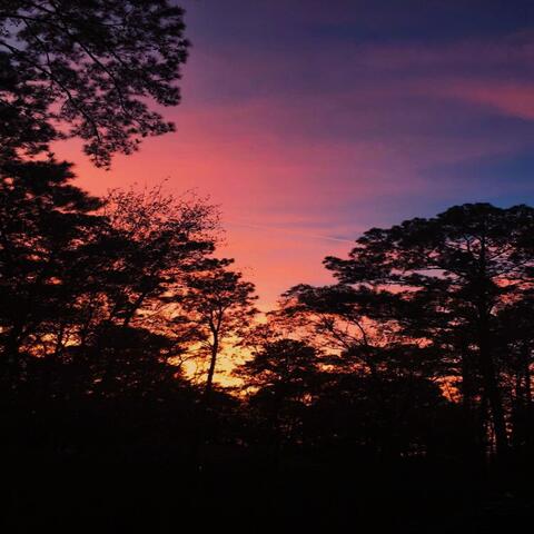 Al Atardecer