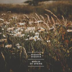 Breeze of Spring
