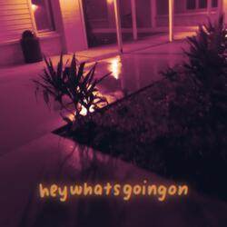 heywhatsgoingon