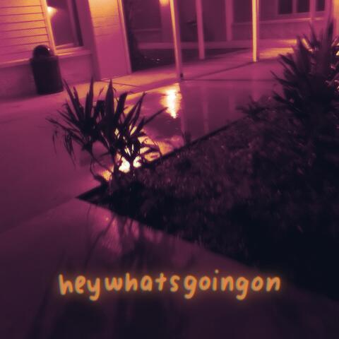 heywhatsgoingon