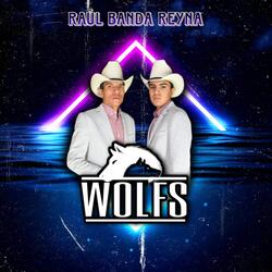 Raúl Banda Reyna
