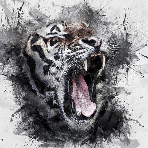 Revenge Of The Tiger