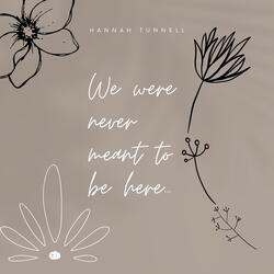 We Were Never Meant to Be Here