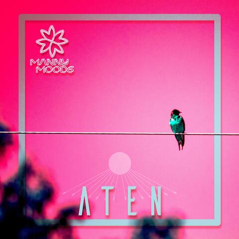 Aten (Solar Disk Cult)