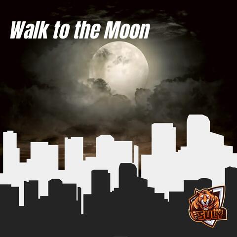 Walk to the Moon