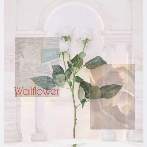 Wallflower
