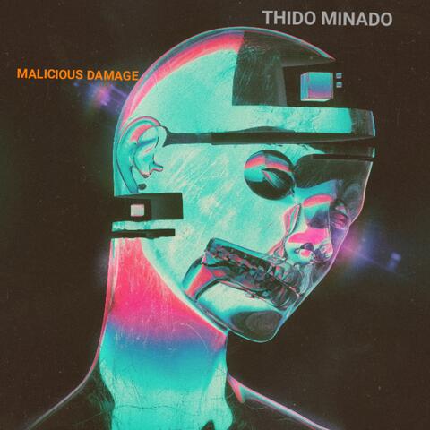 MALICIOUS DAMAGE