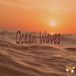 Ocean Waves