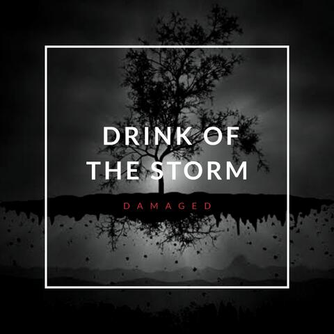 Drink Of The Storm