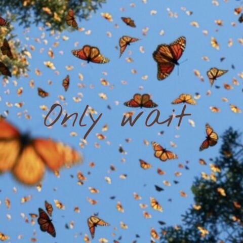 Only Wait