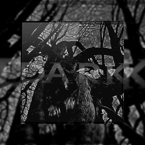 Dark