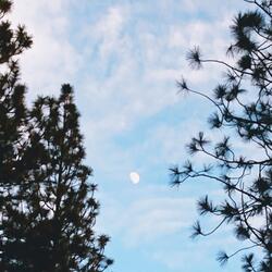 Summertime n' Moonlight