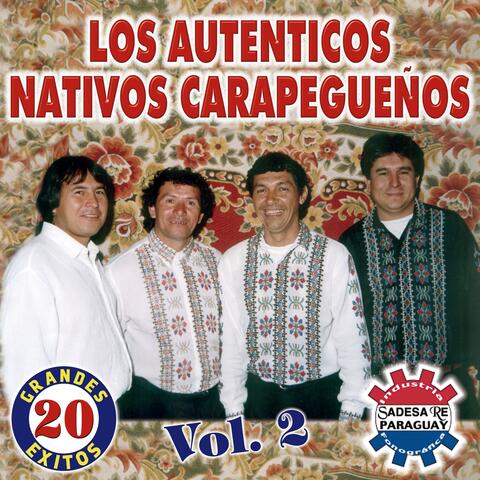 20 Grandes Exitos, Vol. 2