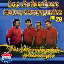 Mba´ereiko ajekehata