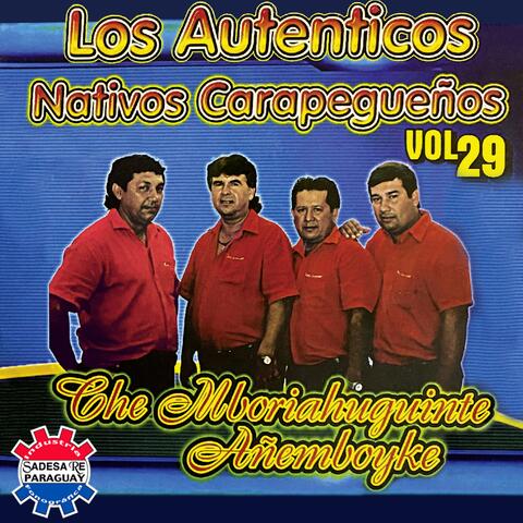 Che mboriahuguinte Añemboyke, Vol. 29