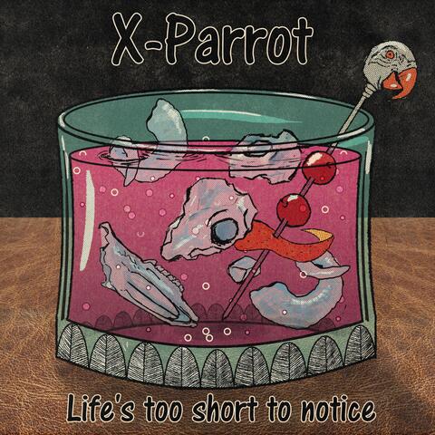 Life's Too Short To Notice