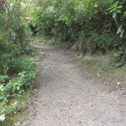 Somewhere Down The Road