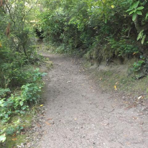 Somewhere Down The Road