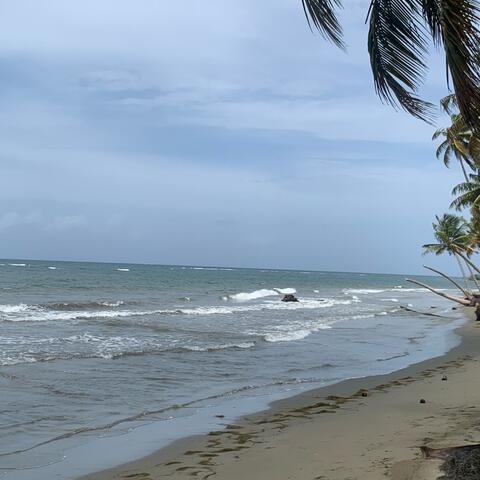 Castellano Revolution