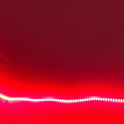 PLEASE DO NOT TRUST ME PLEASE