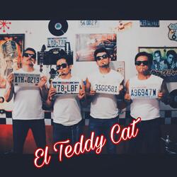 El Teddy Cat