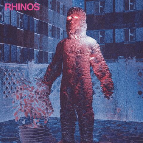 Rhino
