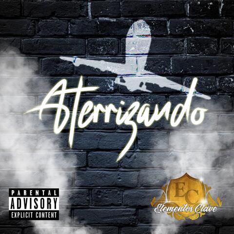 Aterrizando