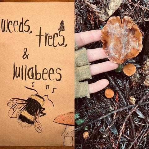 Weeds, Trees, & Lullabees