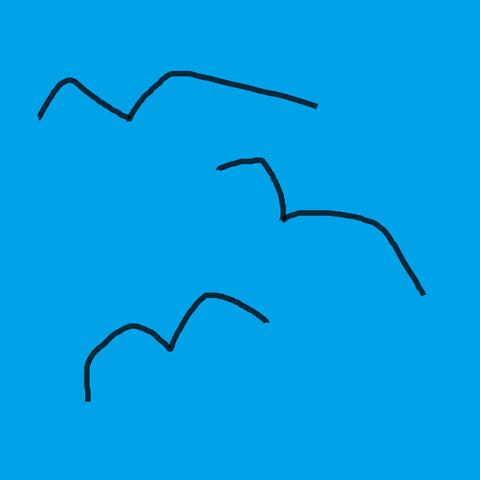 Fly